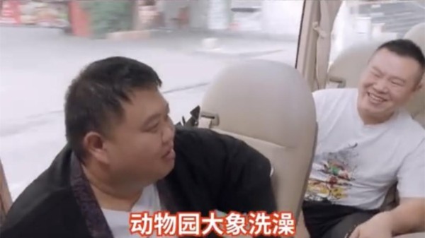 孙越讲述养大象趣事，逗得岳云鹏、刘芸全程笑不停，孙越真是给力