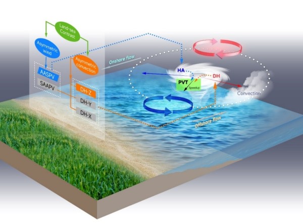 [成果]地理科学学部教授丁瑞强在《自然·地球科学》发文揭示海–陆差异驱动登陆热带气旋加速运动
