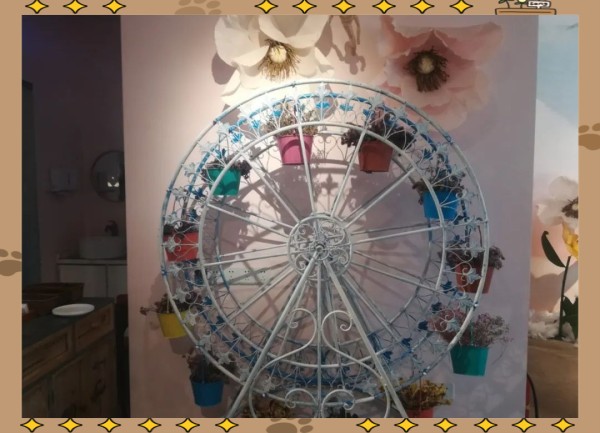 从思维到行动：个人需求的满足之道