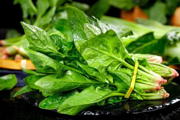 这些常见食物竟是“防癌密码”！一日三餐这样吃能防癌→