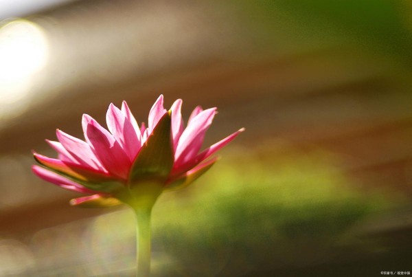 心态是这样练出来的