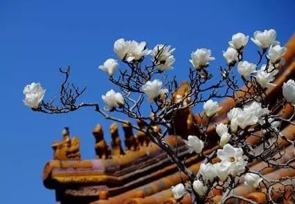 康熙家教用书《庭训格言》