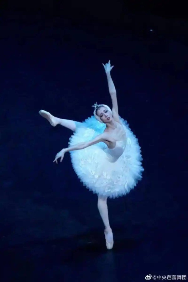 吕文扬是天鹅舞导师