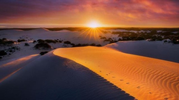 邻鸡惊晓打一生肖 邻鸡惊晓相关的生肖