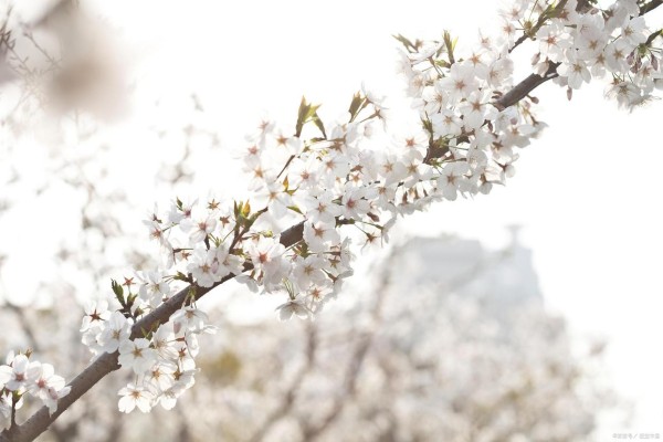 对工作有兴趣，懂得享受工作带来的乐趣，成功与你就近了一步