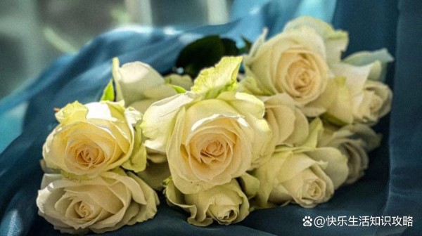 人生能从自己的职业中领略出趣味，人生才有价值