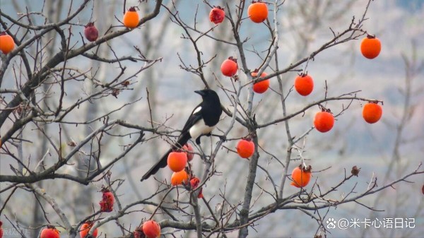 女人把工作当成自己的乐趣，你将受益一生，幸福一生