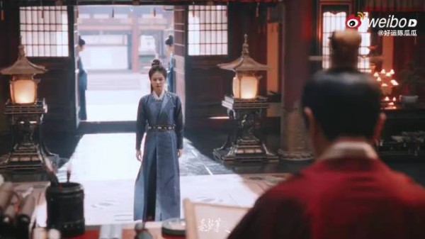 白鹿四部破万剧实绩亮眼，《唐宫奇案》热播再证实力