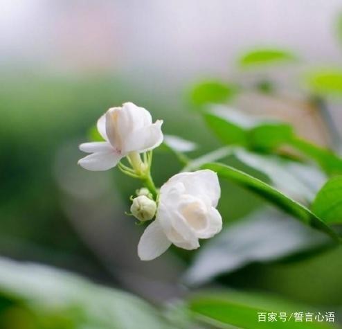 人生感悟励志的短句子，句句金玉良言，让人相见恨晚！