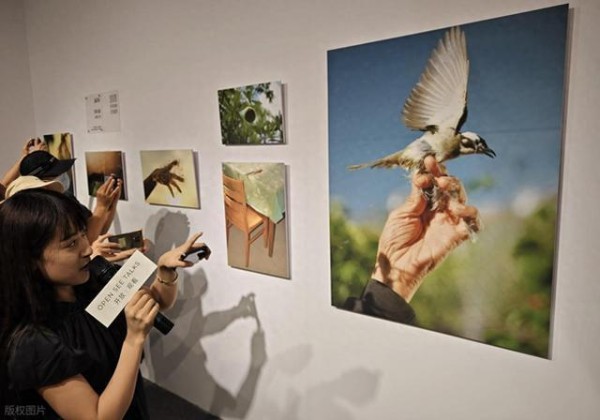 什么样的艺术，最能引起共鸣？