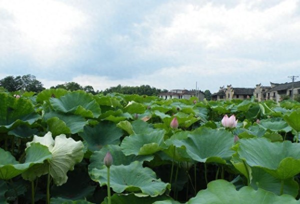 庄子：人生快乐的4个秘诀