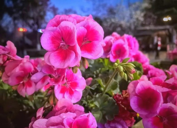 探索人生必读的十大经典著作