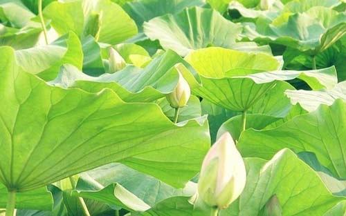 怎样建立和谐的亲子关系