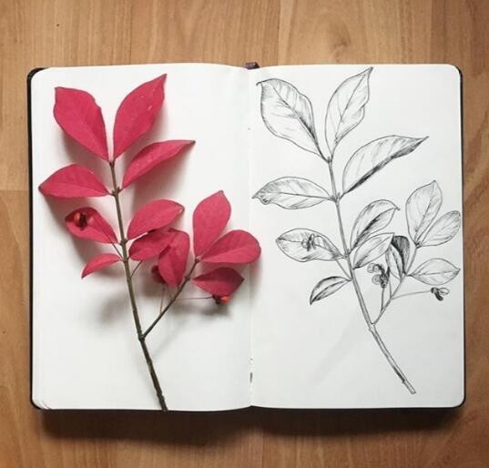 道尽人生哲理的经典语录，每日一读，豁达一生！