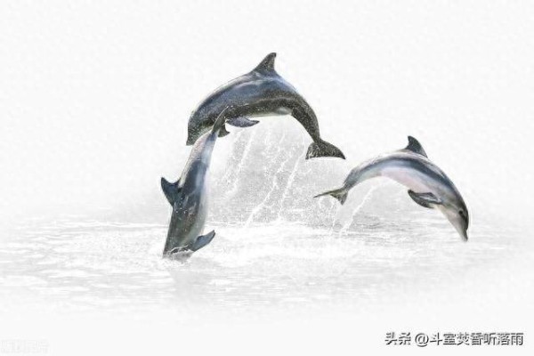 【人生哲理】没有什么比活着更快乐，也没有什么比活着更艰辛。