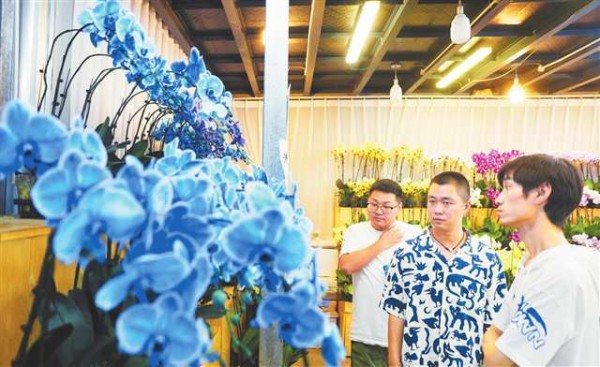 都市“新宠”催生乡村“新活”