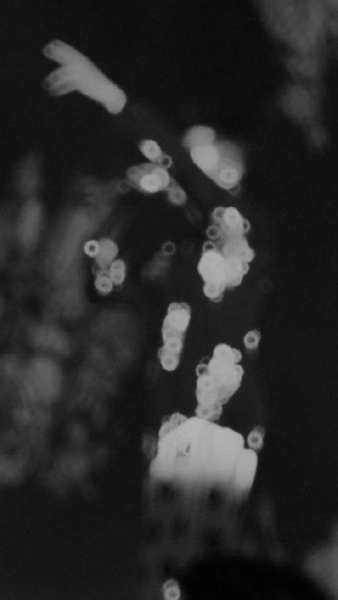 郭富城王一博同台唱跳闪耀全场，60岁天王全开麦状态惊艳