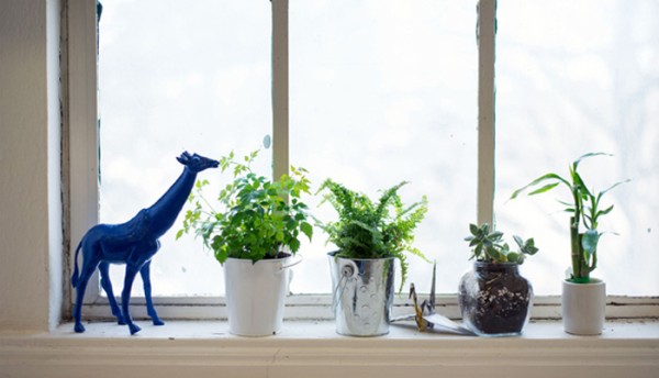 50個女孩們必學的居家裝飾DIY技巧 9