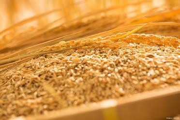 黄金72小时生存指南:家庭应急物资这样备,遇事不慌更安心