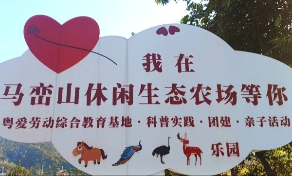 深圳马峦山休闲生态农场一日游：在山野间拥抱自然与浪漫