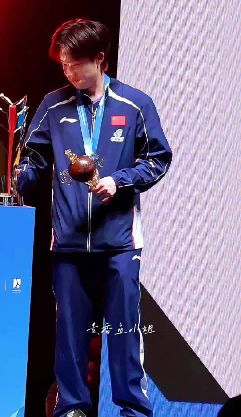 真英雄 怎会怕 王楚钦冠军乒乓球神级现场stp