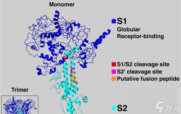 樱之城出城楼方法是什么?