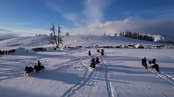 哈巴河县“醉美雪桦”系列活动即将启幕 邀您在西北第一村过大年