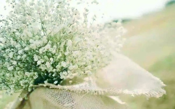 记录宝贝成长的温馨句子，点亮人生的精彩篇章