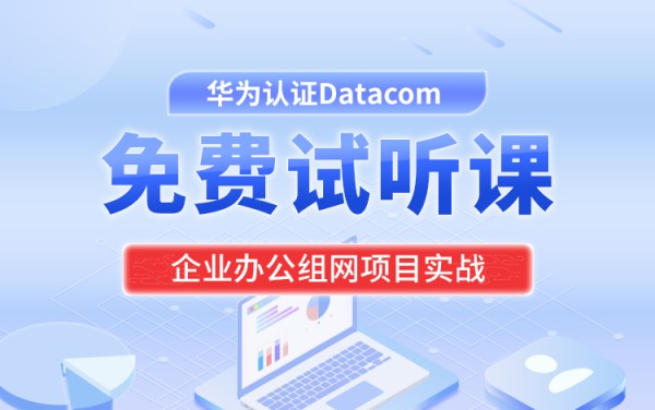 企业办公组网项目实战（讲师阳惠娇）