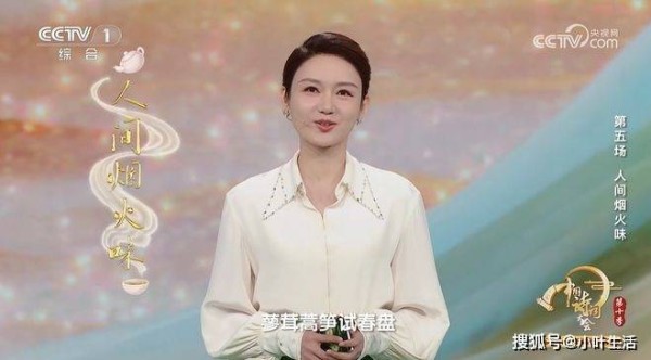 龙洋：刚主持完2026春晚又主持诗词大会，沉稳大气越来越有一姐范