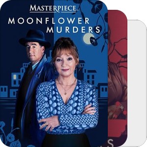 喜鹊谋杀案系列