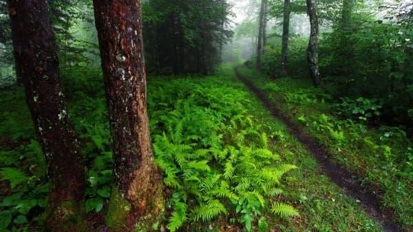 和女生约会去哪里比较好？创意工坊动手做还是江边散步谈心？