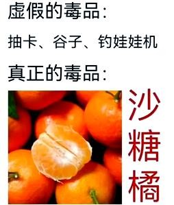 砂糖橘与金钱豹：网络热词背后的趣闻与思考