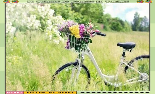 旅行与心灵成长：一场探索未知的冒险