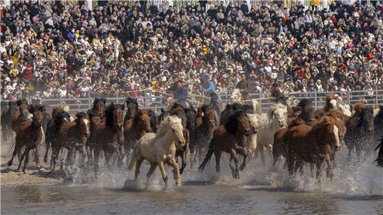 新春文旅市场火爆！南通森迪旅游度假区发力 春节假期接待游客近20万人次_fororder_图片5