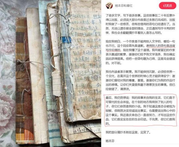 敢当时评丨当摘抄习惯撞上创作底线，如何看杨本芬的道歉？