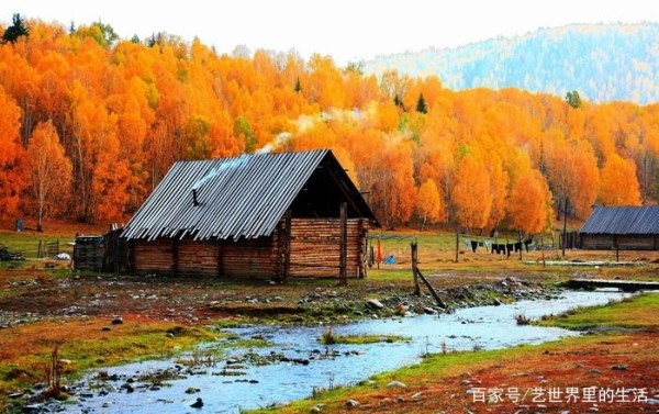 细细品味，感受艺术的魅力