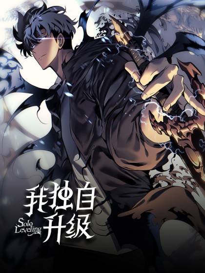 我独自升级