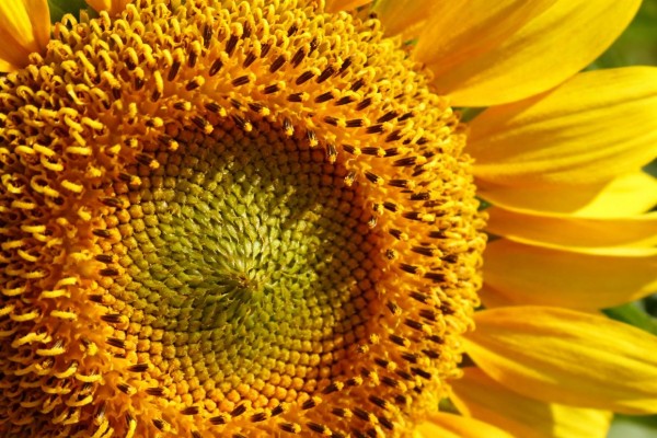 每日必读的人生智慧，句句实用，助你活得通透！