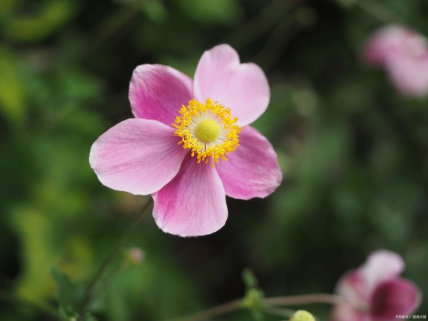 30句生活积极的正能量文案