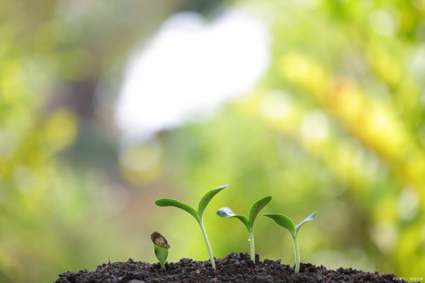 追逐梦想，永不言弃一一场触动心灵的励志演讲