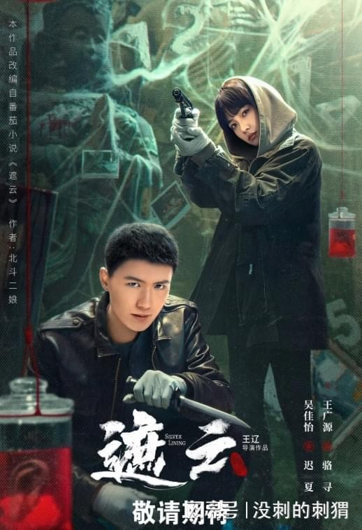 央视《见解》栏目组深度评析电视剧《遮云》！