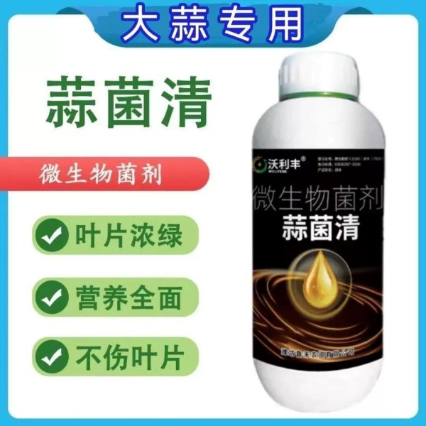 新手养植物总踩雷？植物养护内行来支招，从生根壮苗到防冻抗寒，一套科学方案让你的植物茁壮生长！