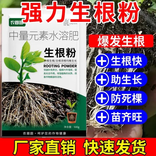 新手养花总养不活？植物养护内行都懂的避坑指南来了！从生根到丰收一站式解决，让你的植物茁壮成长！