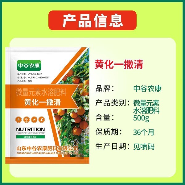 新手总养不活植物？内行分享这些植物养护的精致艺术避坑要点，遵循方法后叶片翠绿，每一片叶子都焕发生机！