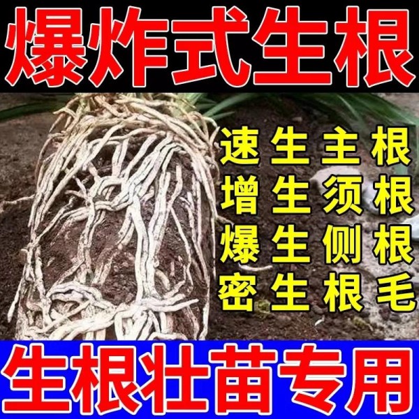 新手养花总养不活？植物黄叶、烂根问题不断？这份专业园艺养护指南来救场，让植物30天内焕发生机！