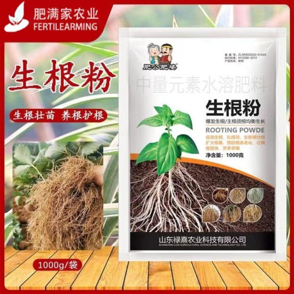 新手养花总养不活？内行都知道这些植物养护避坑要点！从生根到丰收全流程指导，让你的植物茁壮成长！