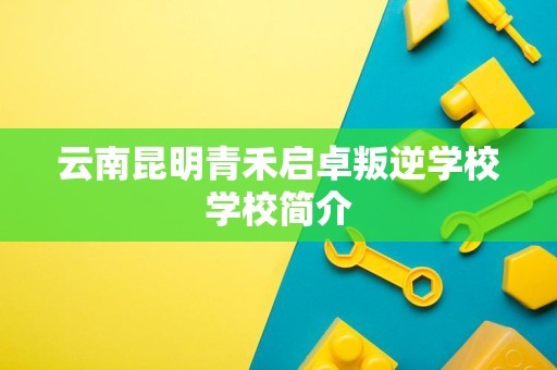云南昆明青禾启卓叛逆学校学校简介