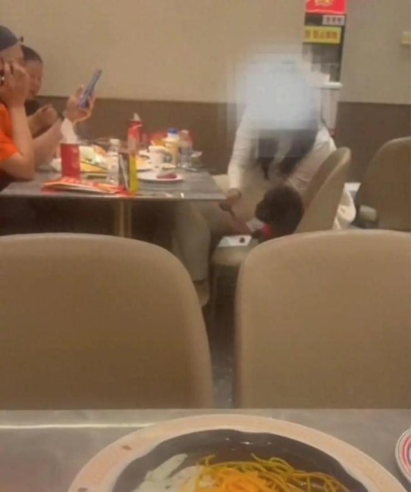 顾客在自助餐厅用吃饭筷喂狗