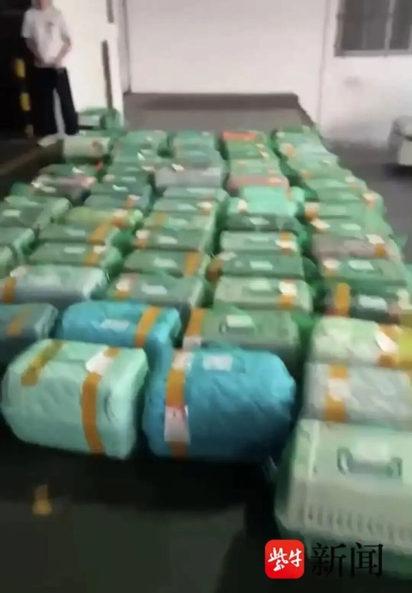 女子花1000元托运柴犬从贵州回甘肃,商家3天没喂水喂食,送到后柴犬死亡